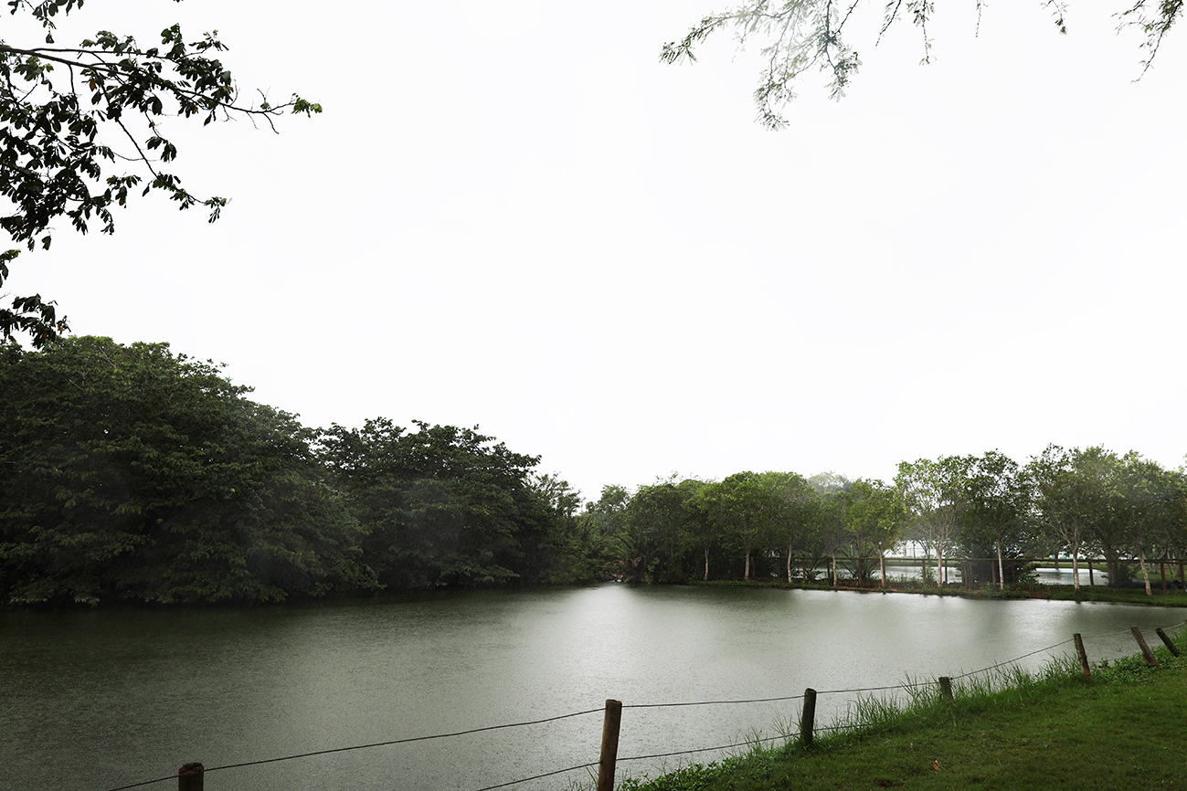 Foto: Reprodução/Prefeitura de Feira de Santana - BA